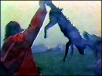 Hunter swinging a fox in the air for hunt hound to bite