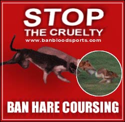Stop the cruelty - ban hare coursing