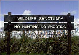 wildlife sanctuary / no hunting sign