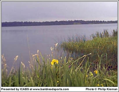 June 2003 - Image 2