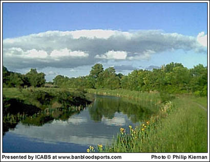 June 2003 - Image 3