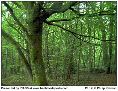 June 2003 - Image 5