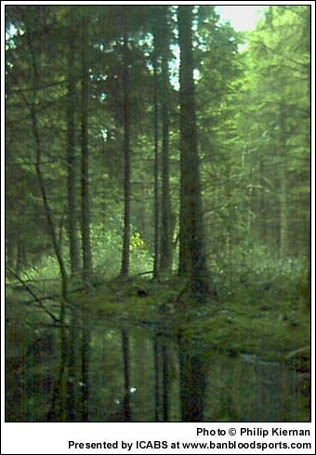 June 2003 - Image 7