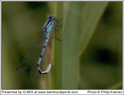 Nature Gallery 1 - Image 1