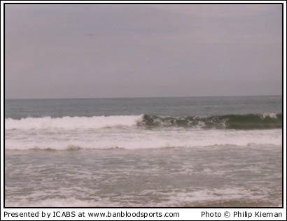 Nature Gallery 1 - Image 10