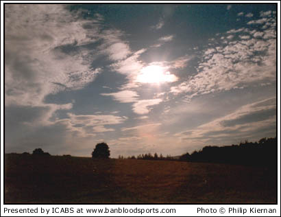 Nature Gallery 1 - Image 11