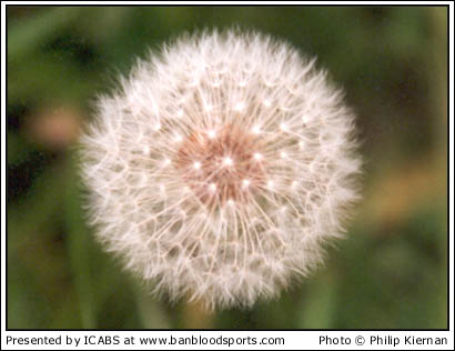 Nature Gallery 1 - Image 12
