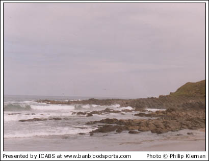 Nature Gallery 1 - Image 15