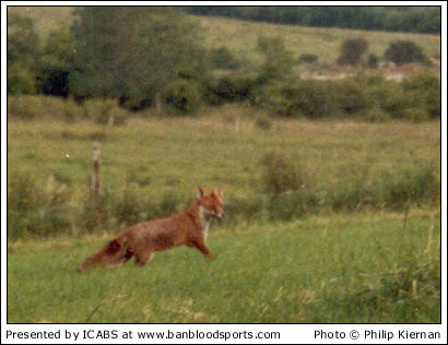 Nature Gallery 1 - Image 16