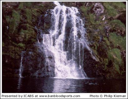 Nature Gallery 1 - Image 3