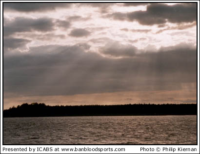 Nature Gallery 1 - Image 6