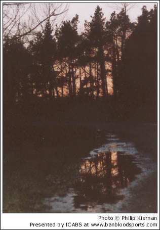 Nature Gallery 1 - Image 7