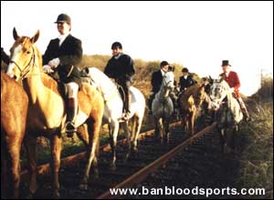 Fox Hunting Gallery - Image 12