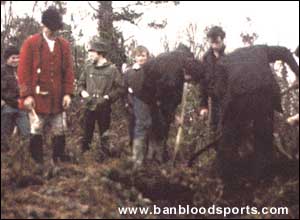 Fox Hunting Gallery - Image 13