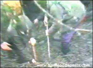 Fox Hunting Gallery - Image 14
