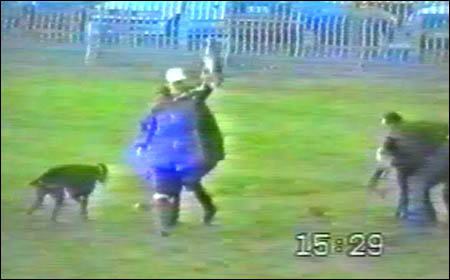 Hare Coursing Gallery - Image 11