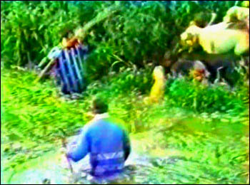 Mink hunters and hounds in river and on riverbank