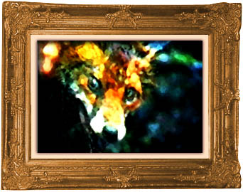 Photo frame around painting of suffering fox