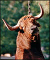 Bullfighting 4