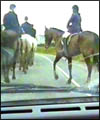 Hunts on Roads 3
