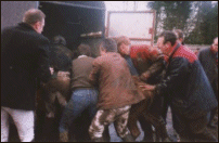 forcing stag into trailer