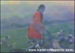 video 10 still d
