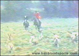 video 3 still c