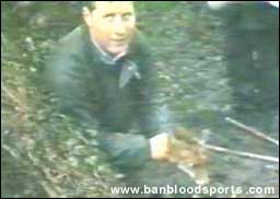 video 7 still a