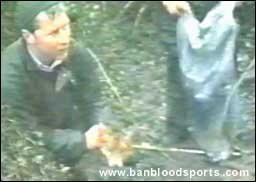 video 7 still e