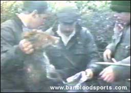 video 8 still a