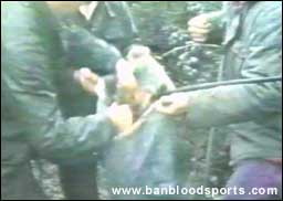 video 8 still c