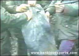 video 8 still d