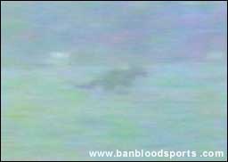 video 9 still b
