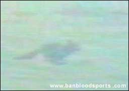 video 9 still c