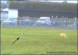 video 10 still a