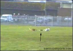 video 10 still c