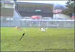 video 10 still e