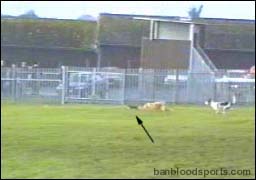 video 10 still f