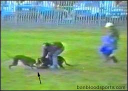 video 1 still d