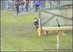 video 2 still a