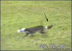 video 2 still e
