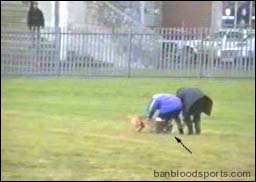 video 3 still e