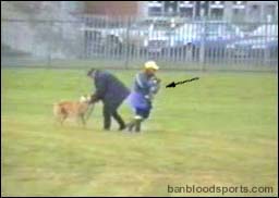 video 3 still f