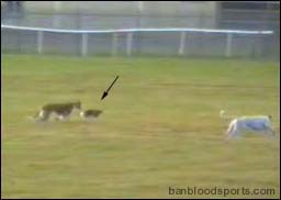 video 4 still a