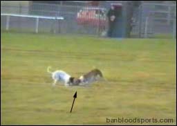 video 4 still f