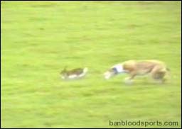 video 5 still a