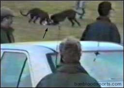 video 8 still a