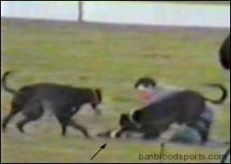 video 8 still c