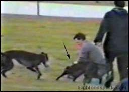 video 8 still d