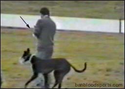 video 8 still f